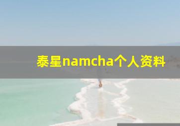 泰星namcha个人资料