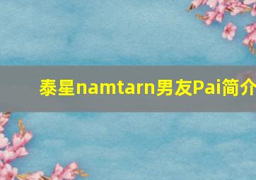 泰星namtarn男友Pai简介