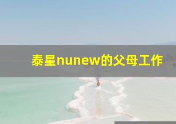 泰星nunew的父母工作