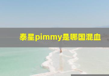 泰星pimmy是哪国混血