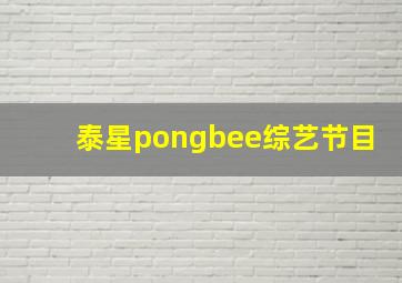 泰星pongbee综艺节目