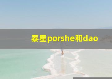 泰星porshe和dao