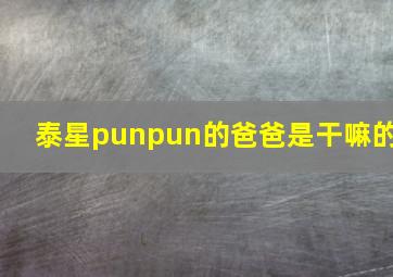 泰星punpun的爸爸是干嘛的