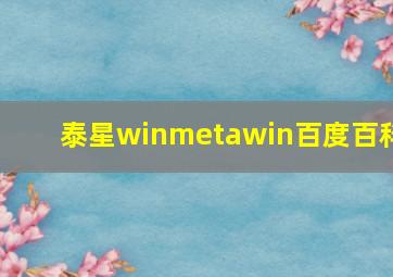 泰星winmetawin百度百科