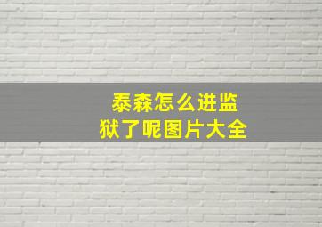 泰森怎么进监狱了呢图片大全