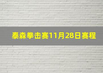 泰森拳击赛11月28日赛程