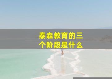 泰森教育的三个阶段是什么