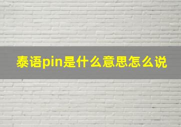 泰语pin是什么意思怎么说