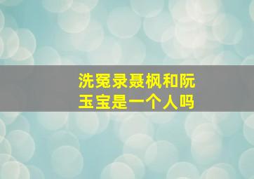 洗冤录聂枫和阮玉宝是一个人吗