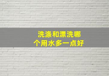 洗涤和漂洗哪个用水多一点好