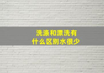 洗涤和漂洗有什么区别水很少