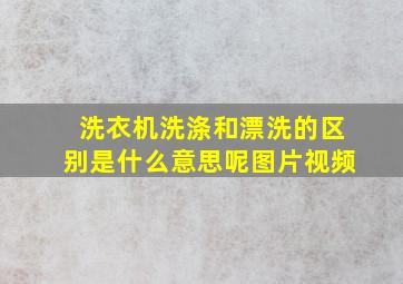 洗衣机洗涤和漂洗的区别是什么意思呢图片视频