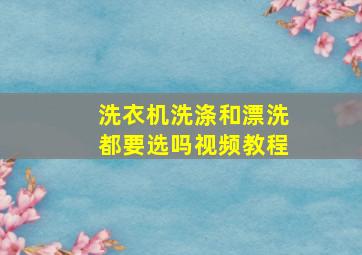 洗衣机洗涤和漂洗都要选吗视频教程