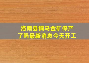 洛南县铜马金矿停产了吗最新消息今天开工