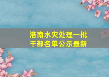 洛南水灾处理一批干部名单公示最新