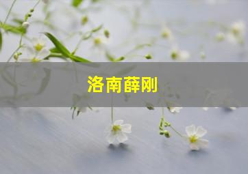 洛南薛刚