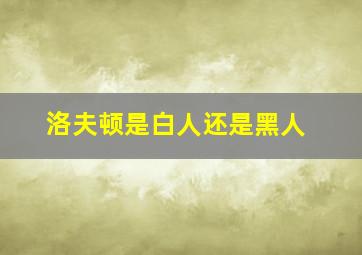 洛夫顿是白人还是黑人