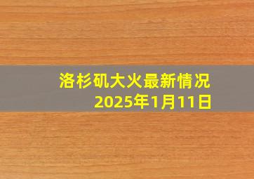 洛杉矶大火最新情况2025年1月11日