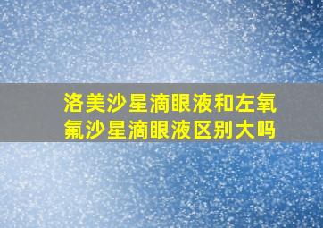 洛美沙星滴眼液和左氧氟沙星滴眼液区别大吗