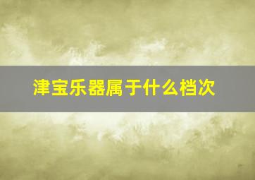 津宝乐器属于什么档次