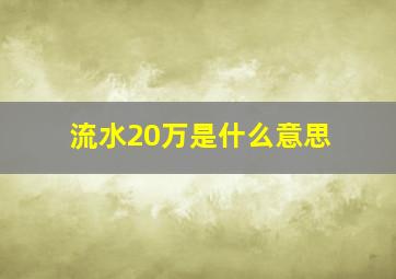 流水20万是什么意思