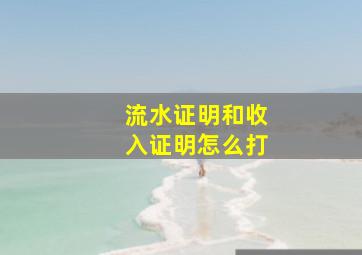 流水证明和收入证明怎么打