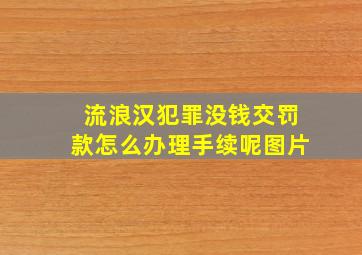 流浪汉犯罪没钱交罚款怎么办理手续呢图片