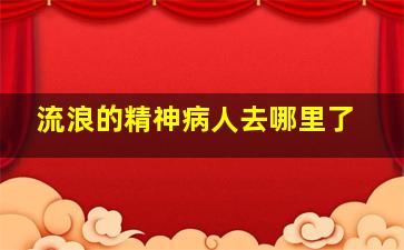 流浪的精神病人去哪里了