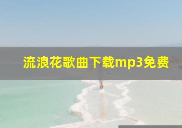 流浪花歌曲下载mp3免费