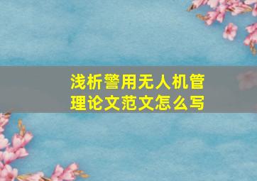 浅析警用无人机管理论文范文怎么写