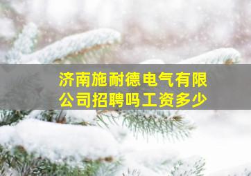 济南施耐德电气有限公司招聘吗工资多少