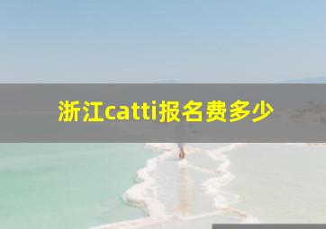 浙江catti报名费多少