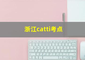 浙江catti考点