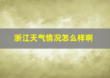 浙江天气情况怎么样啊