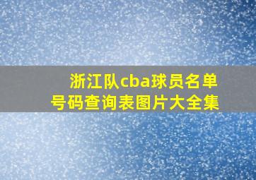 浙江队cba球员名单号码查询表图片大全集