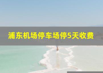 浦东机场停车场停5天收费