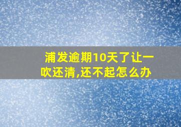 浦发逾期10天了让一吹还清,还不起怎么办