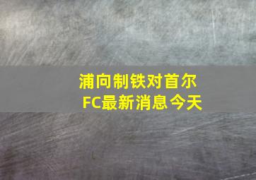 浦向制铁对首尔FC最新消息今天