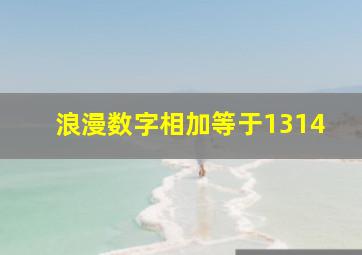 浪漫数字相加等于1314