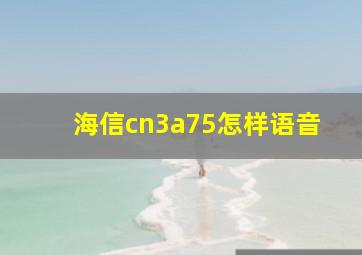 海信cn3a75怎样语音