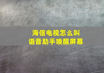 海信电视怎么叫语音助手唤醒屏幕