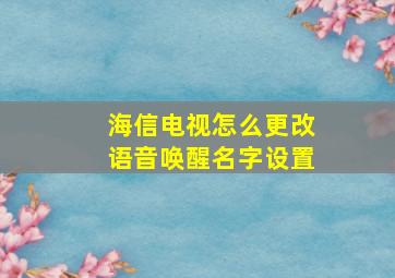 海信电视怎么更改语音唤醒名字设置