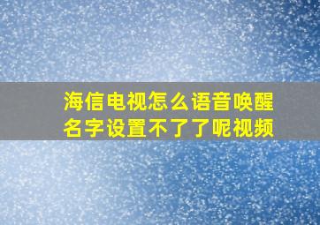 海信电视怎么语音唤醒名字设置不了了呢视频