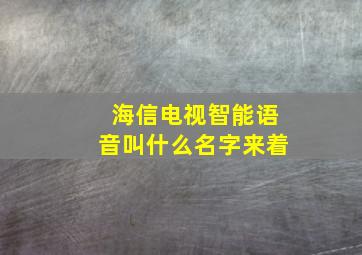 海信电视智能语音叫什么名字来着