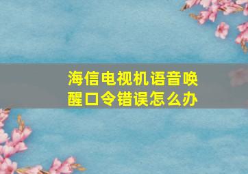 海信电视机语音唤醒口令错误怎么办