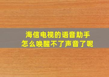 海信电视的语音助手怎么唤醒不了声音了呢