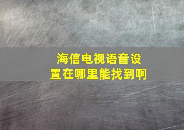 海信电视语音设置在哪里能找到啊