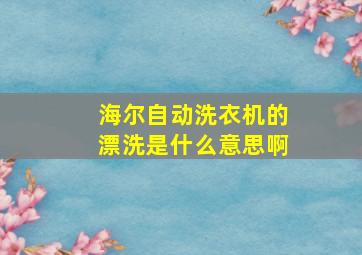 海尔自动洗衣机的漂洗是什么意思啊