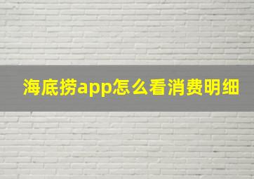 海底捞app怎么看消费明细