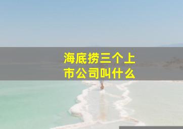 海底捞三个上市公司叫什么